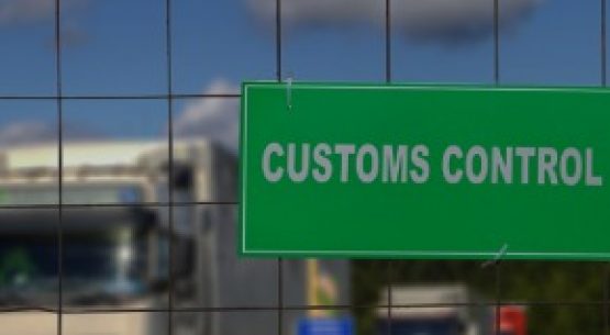 Customs services