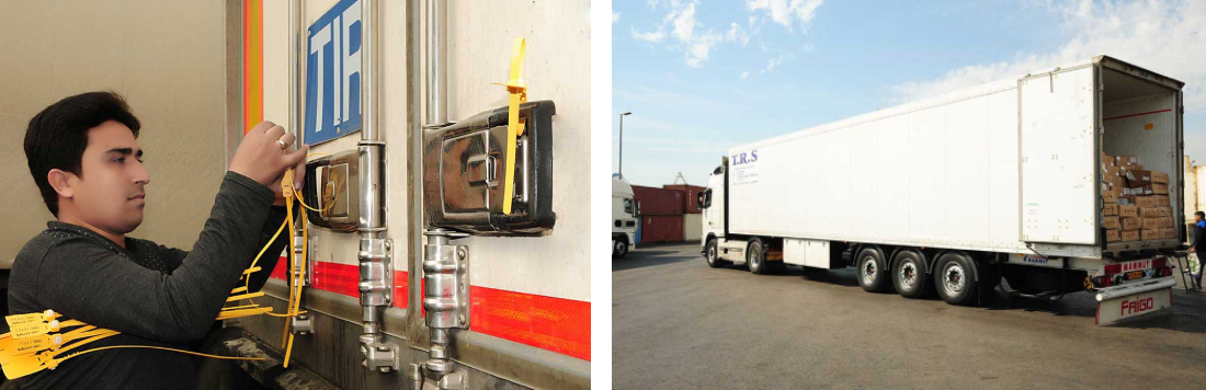 Domestic cargo transportation4